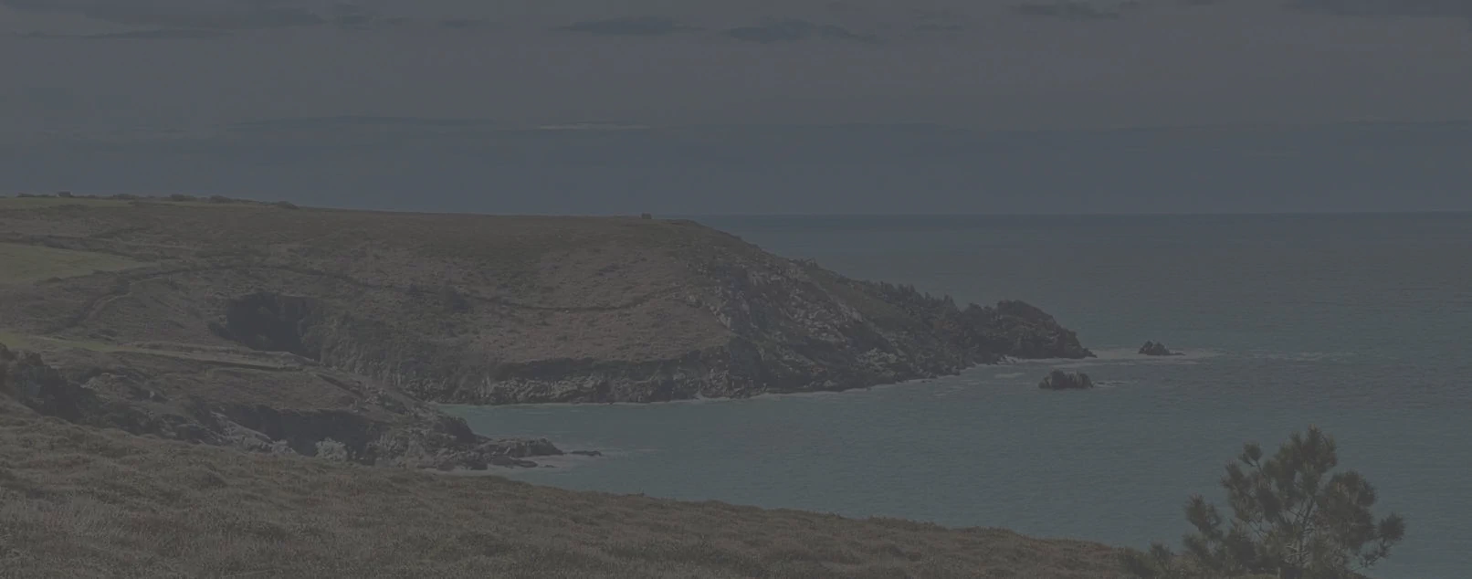 Psy Douarnenez Cap Sizun